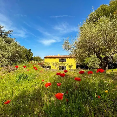 Belle Demeure Dans Les Hauteurs D'ollioules
